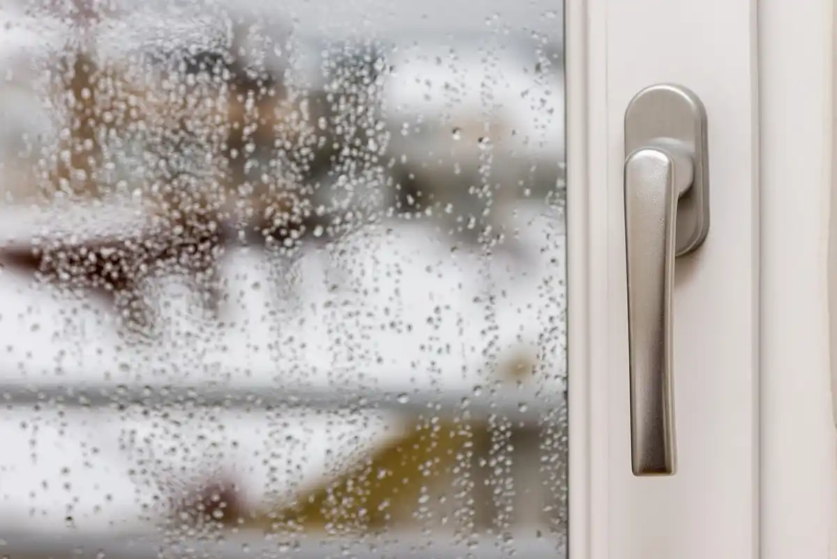 Fabrica de Puertas y Ventanas para San Pedro de la Paz